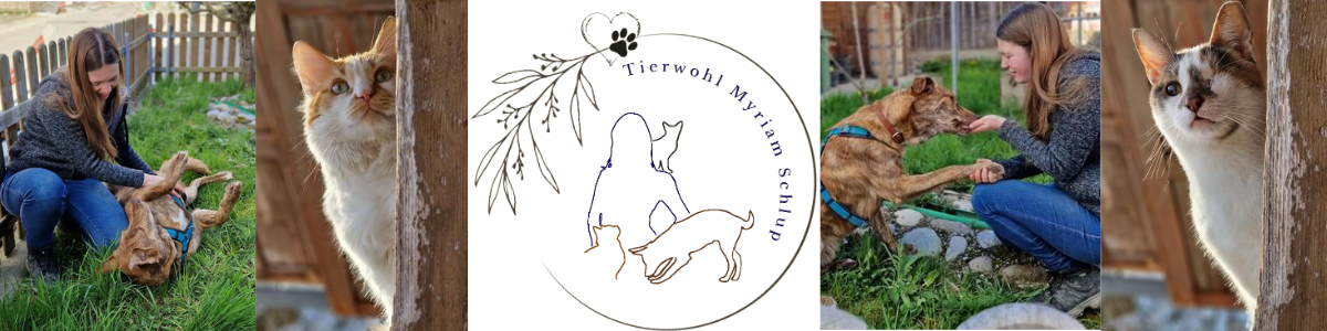 Tierwohl Myriam Schlup