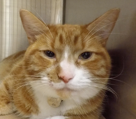 Leichte bis mittelschwere Schmerzen