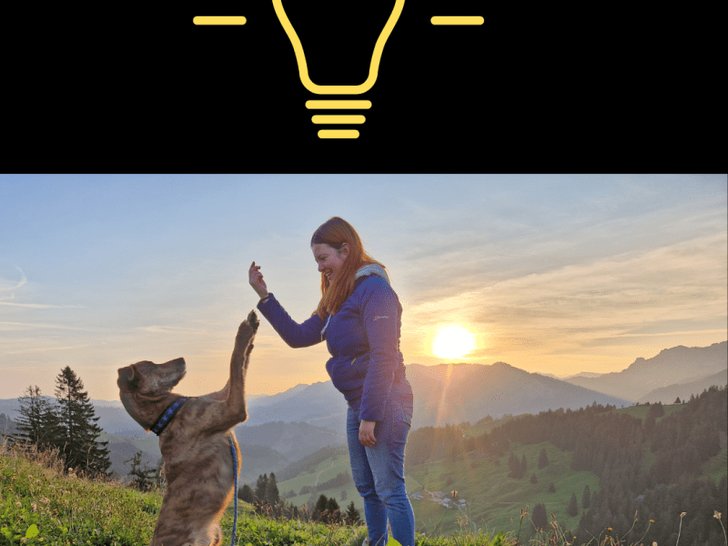 Lerntheorie Hund Teil&nbsp;1: